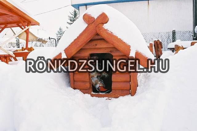 Fajátékok, játékomplexumok, gyerekbungallók-1
