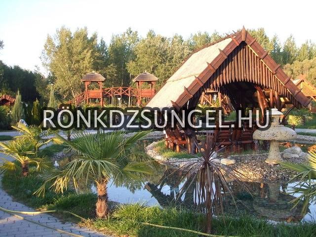 Rönk pavilon kocsi beálló-27