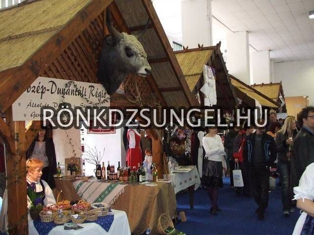 Rönk pavilon kocsi beálló-41