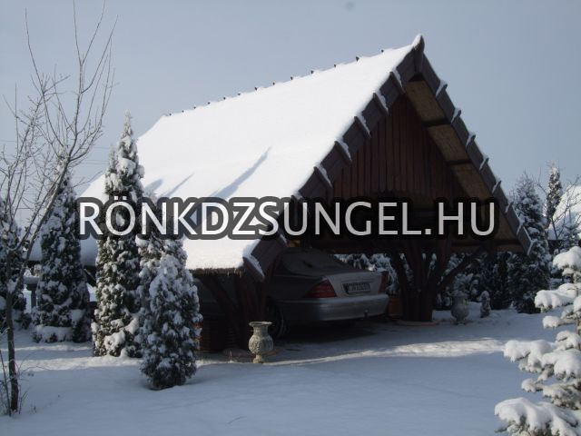 Rönk pavilon kocsi beálló-11